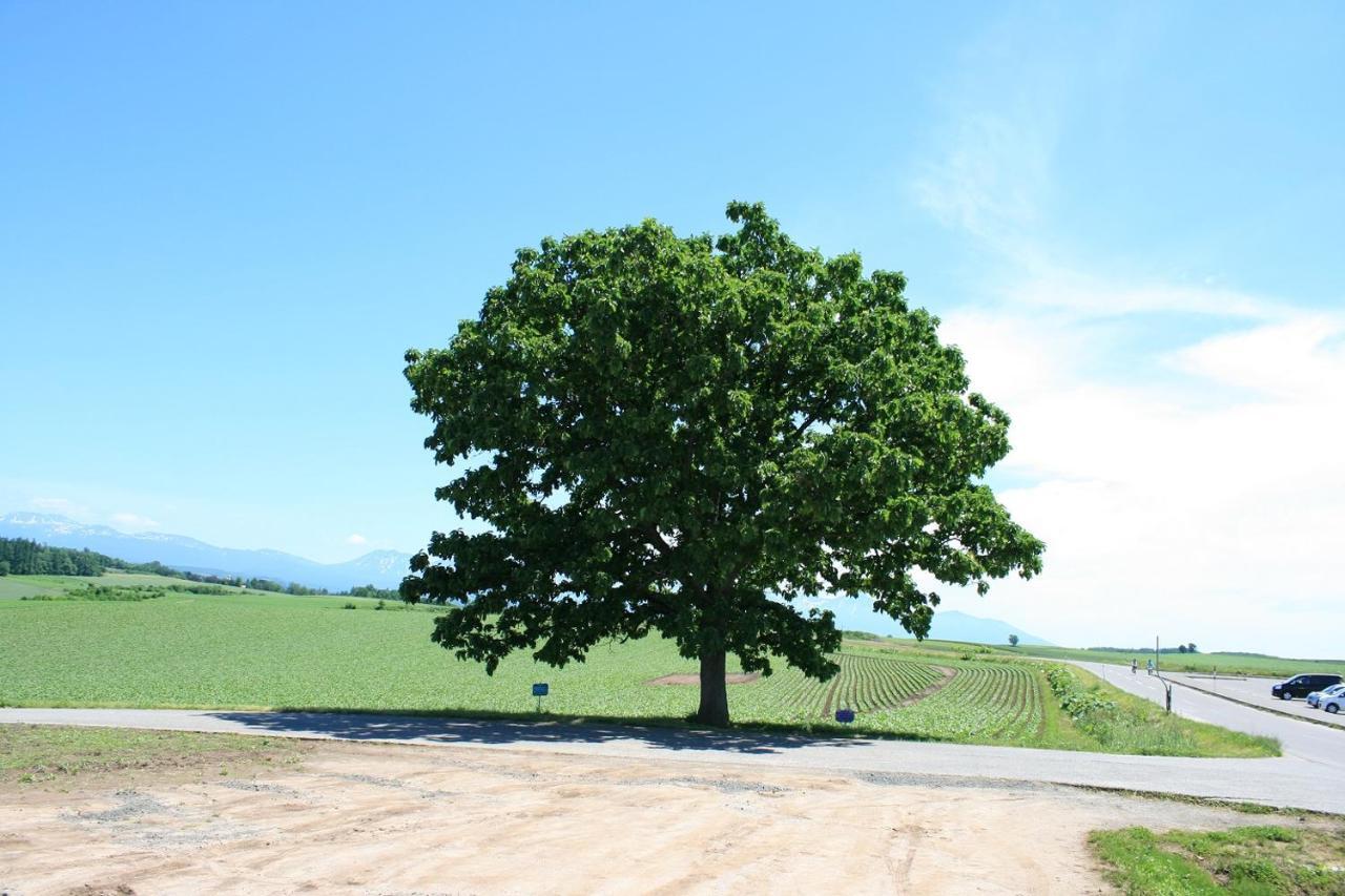 Stay In Tokiwa Asahikawa Luaran gambar